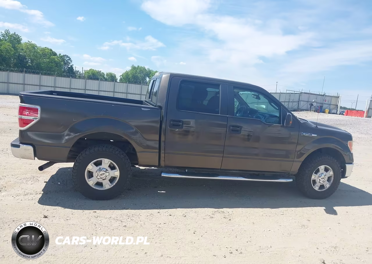 2009 Ford F-150 Fx4-King Ranch-Lariat-Platinum-Xl-Xlt VIN:1FTPW14V99KC32333 - 13