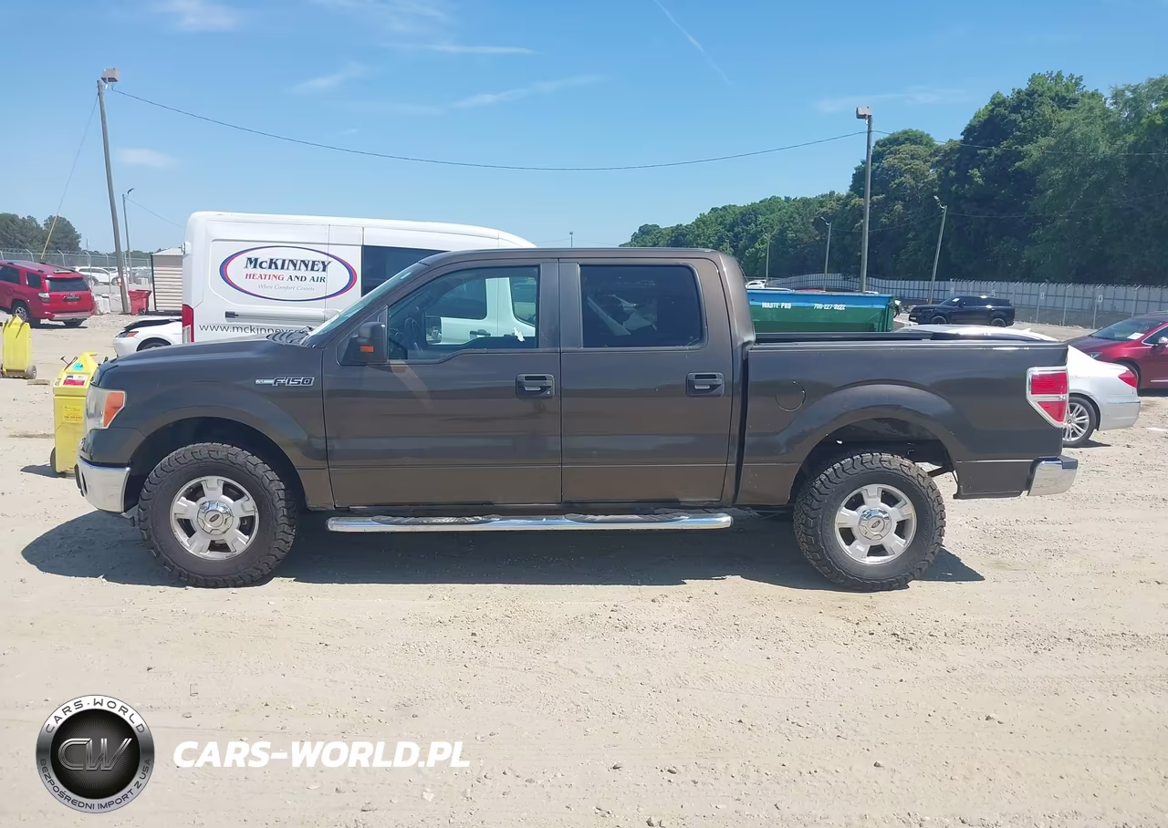 2009 Ford F-150 Fx4-King Ranch-Lariat-Platinum-Xl-Xlt VIN:1FTPW14V99KC32333 - 14