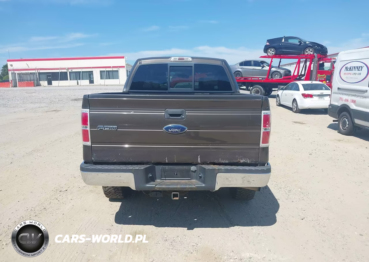 2009 Ford F-150 Fx4-King Ranch-Lariat-Platinum-Xl-Xlt VIN:1FTPW14V99KC32333 - 16
