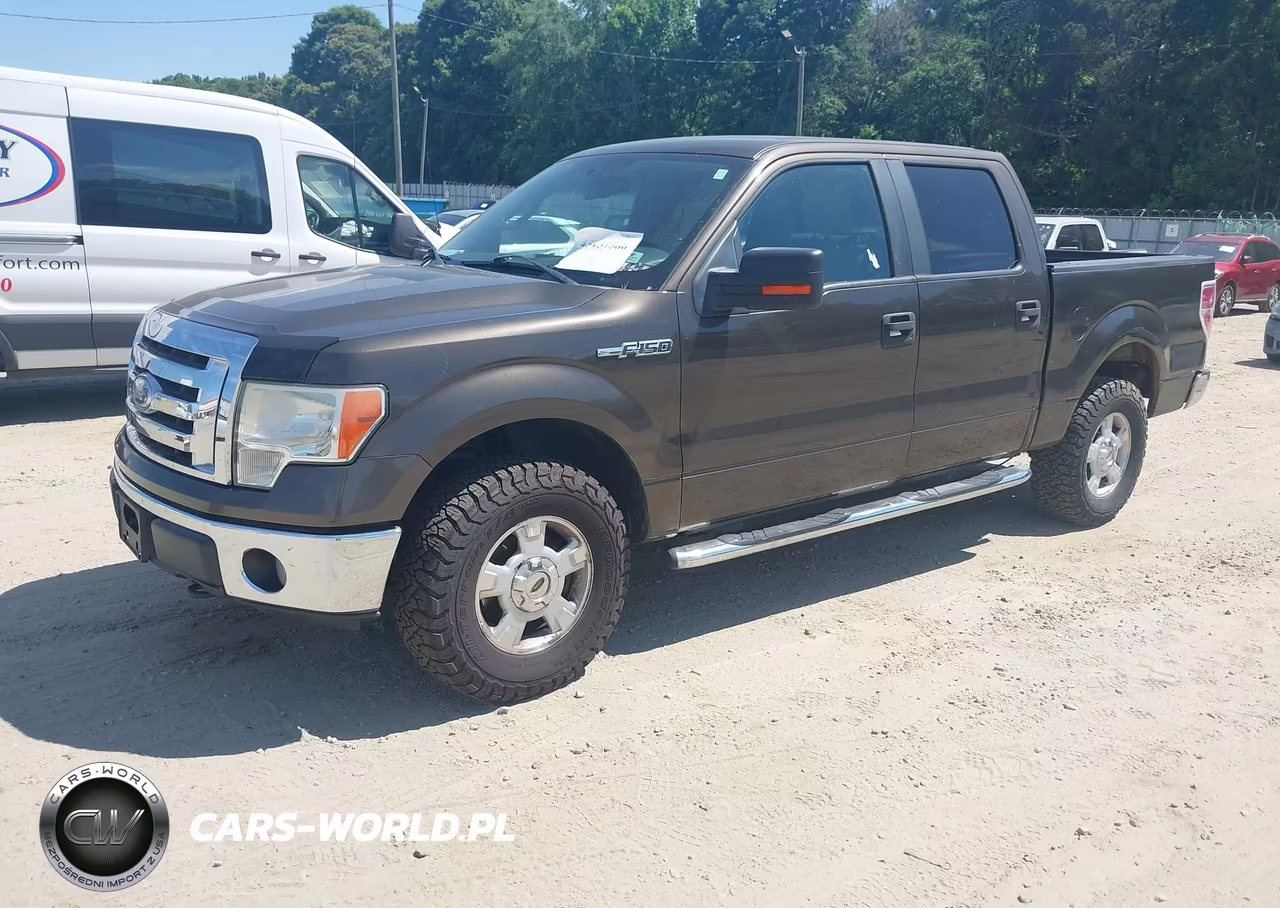 2009 Ford F-150 Fx4-King Ranch-Lariat-Platinum-Xl-Xlt VIN:1FTPW14V99KC32333 - 2