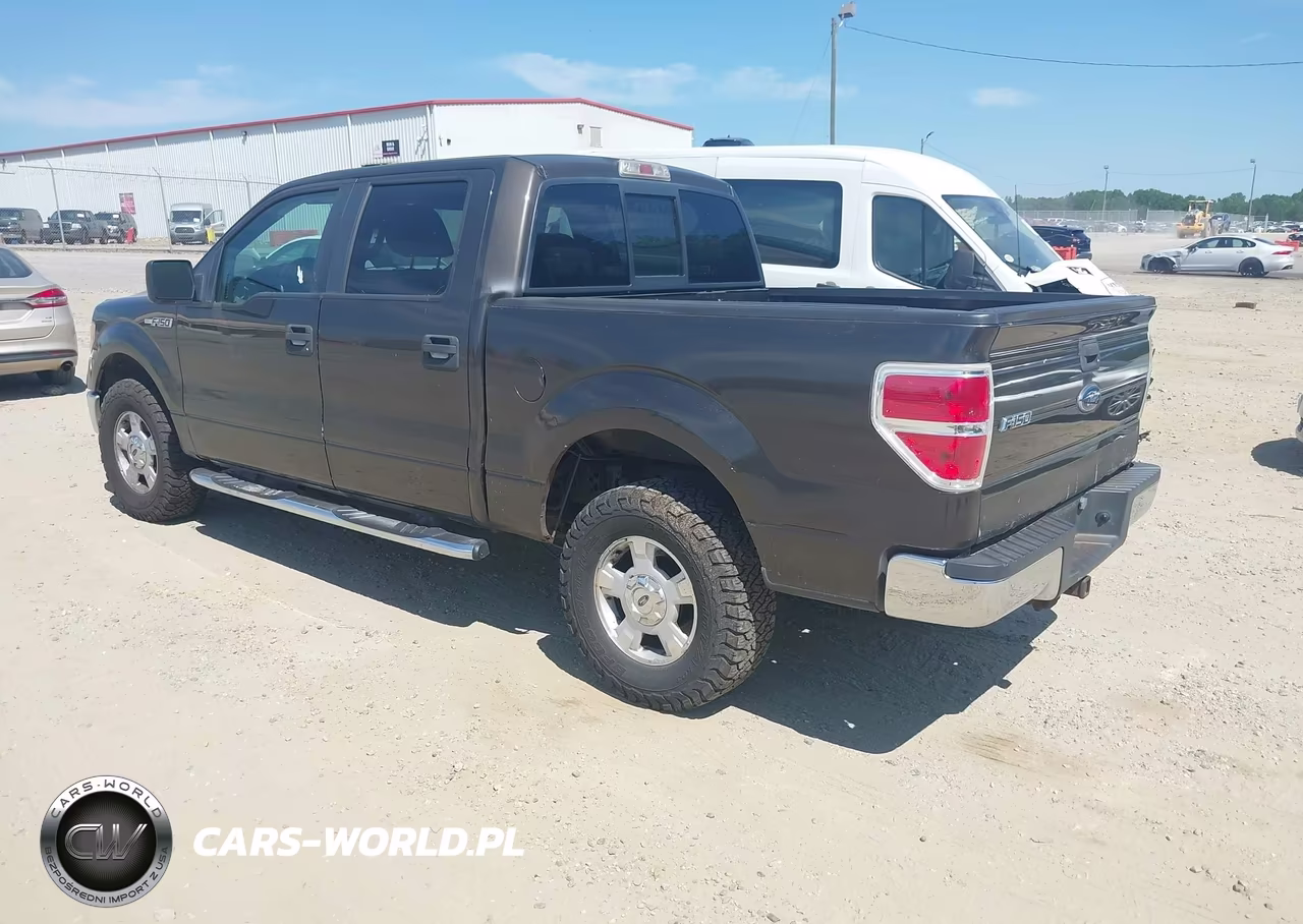 2009 Ford F-150 Fx4-King Ranch-Lariat-Platinum-Xl-Xlt VIN:1FTPW14V99KC32333 - 3