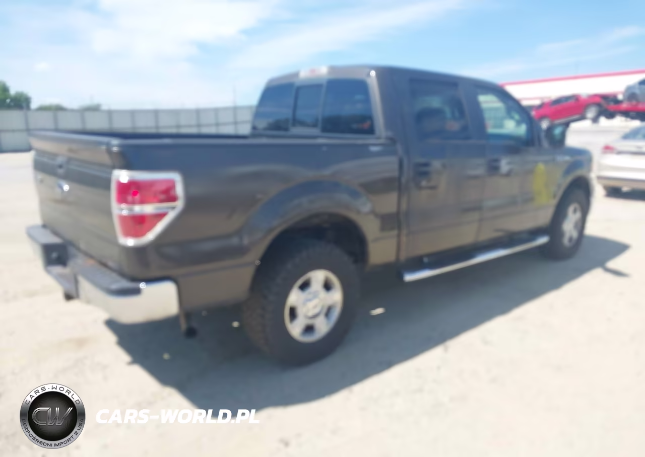 2009 Ford F-150 Fx4-King Ranch-Lariat-Platinum-Xl-Xlt VIN:1FTPW14V99KC32333 - 4