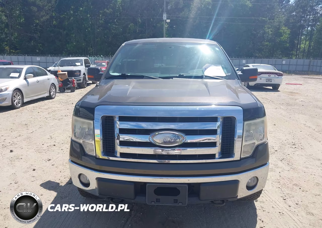 2009 Ford F-150 Fx4-King Ranch-Lariat-Platinum-Xl-Xlt VIN:1FTPW14V99KC32333 - 6