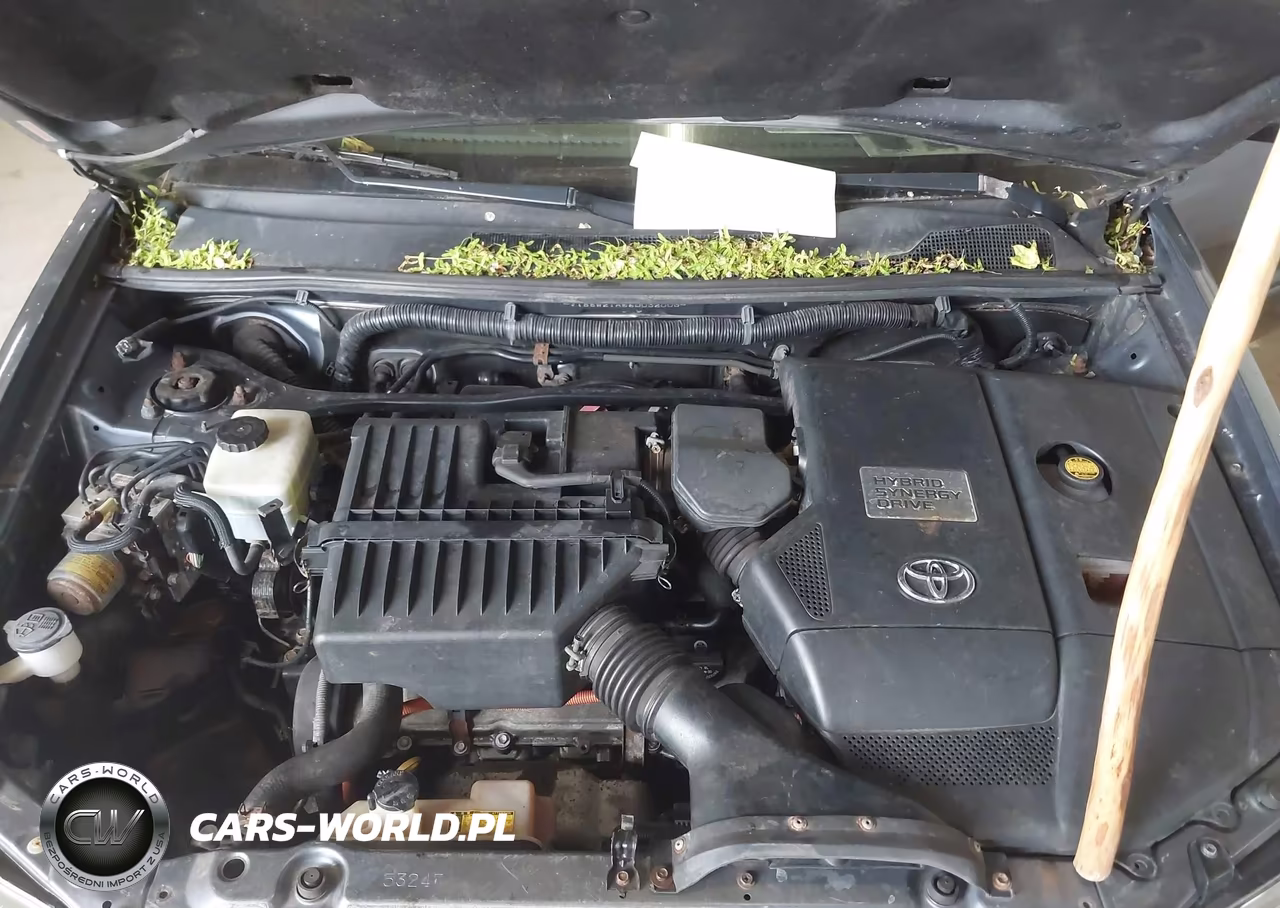 2006 Toyota Highlander Hybrid Limited V6 VIN:JTEEW21A560032003 - 10