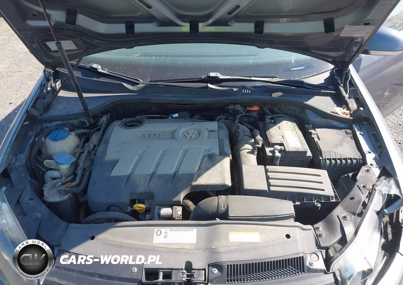 2014 Volkswagen Jetta Sportwagen 2.0L Tdi VIN:3VWML7AJ6EM614934 - 10