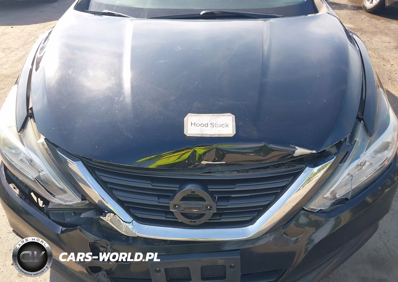 2016 Nissan Altima 2.5 S VIN:1N4AL3AP6GN357212 - 10