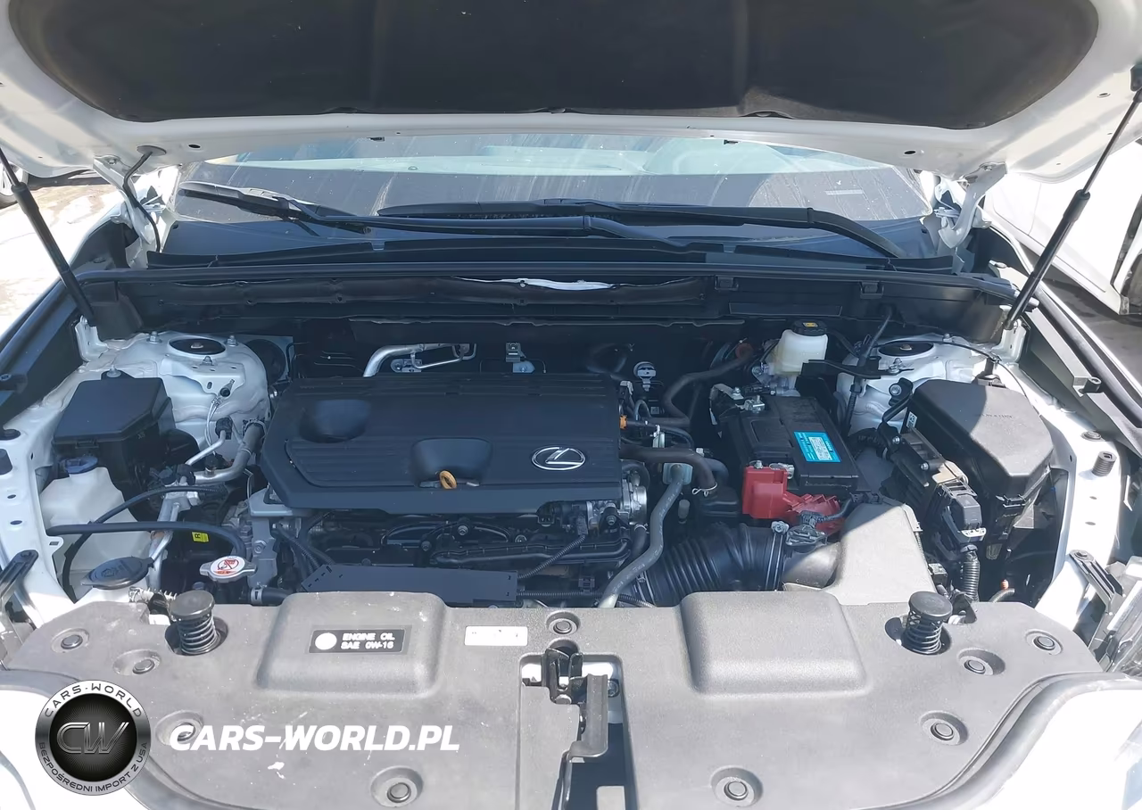 2024 Lexus Nx 250 Premium VIN:2T2GDCAZ4RC012524 - 10