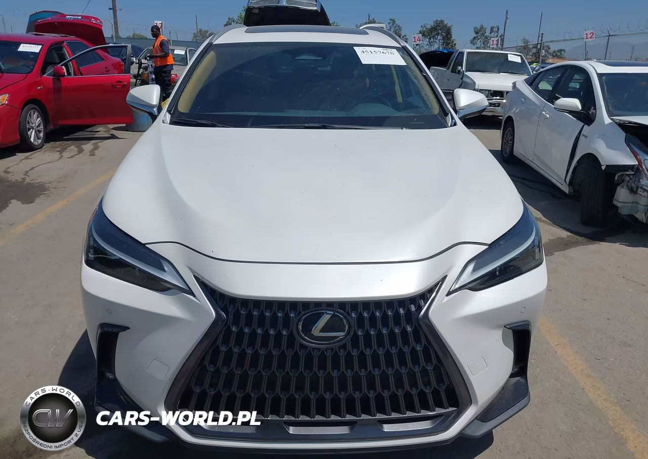 2024 Lexus Nx 250 Premium VIN:2T2GDCAZ4RC012524 - 12