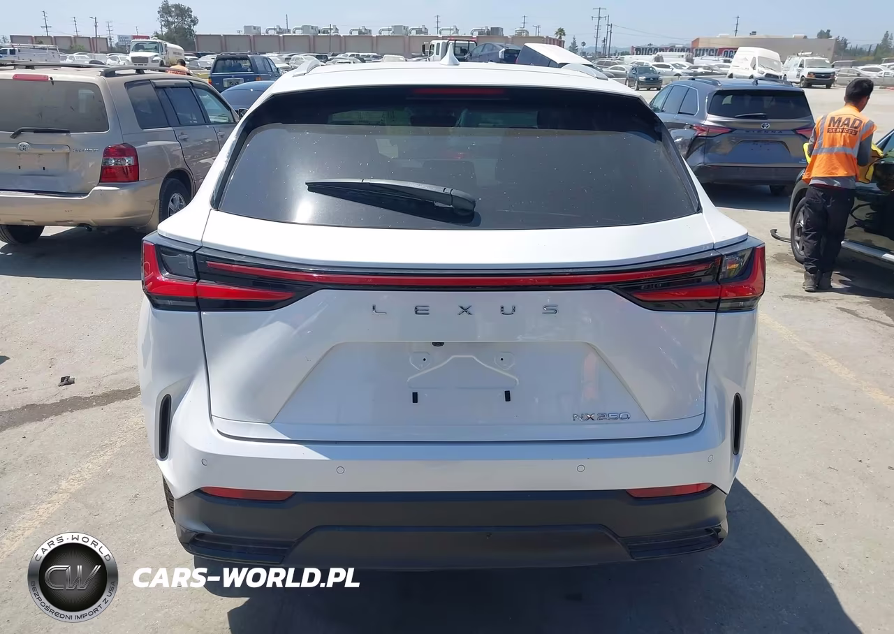 2024 Lexus Nx 250 Premium VIN:2T2GDCAZ4RC012524 - 16