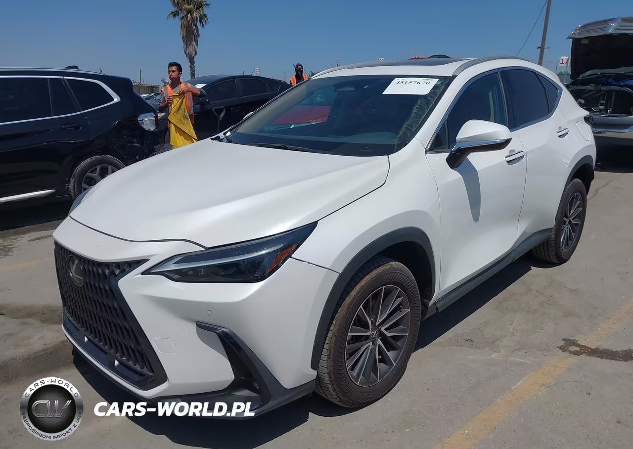 2024 Lexus Nx 250 Premium VIN:2T2GDCAZ4RC012524 - 2