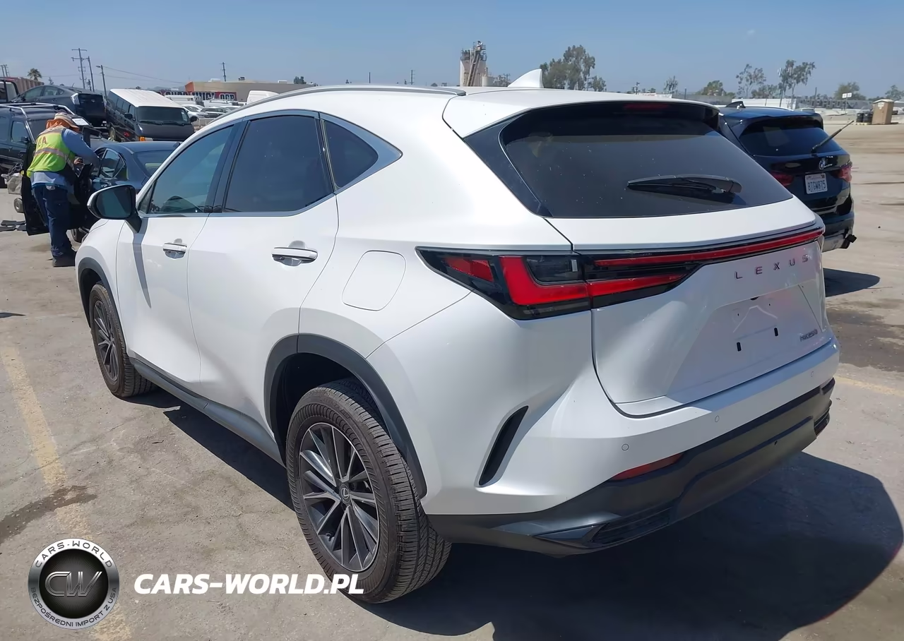 2024 Lexus Nx 250 Premium VIN:2T2GDCAZ4RC012524 - 3