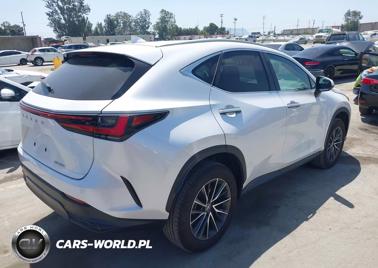 2024 Lexus Nx 250 Premium VIN:2T2GDCAZ4RC012524 - 4