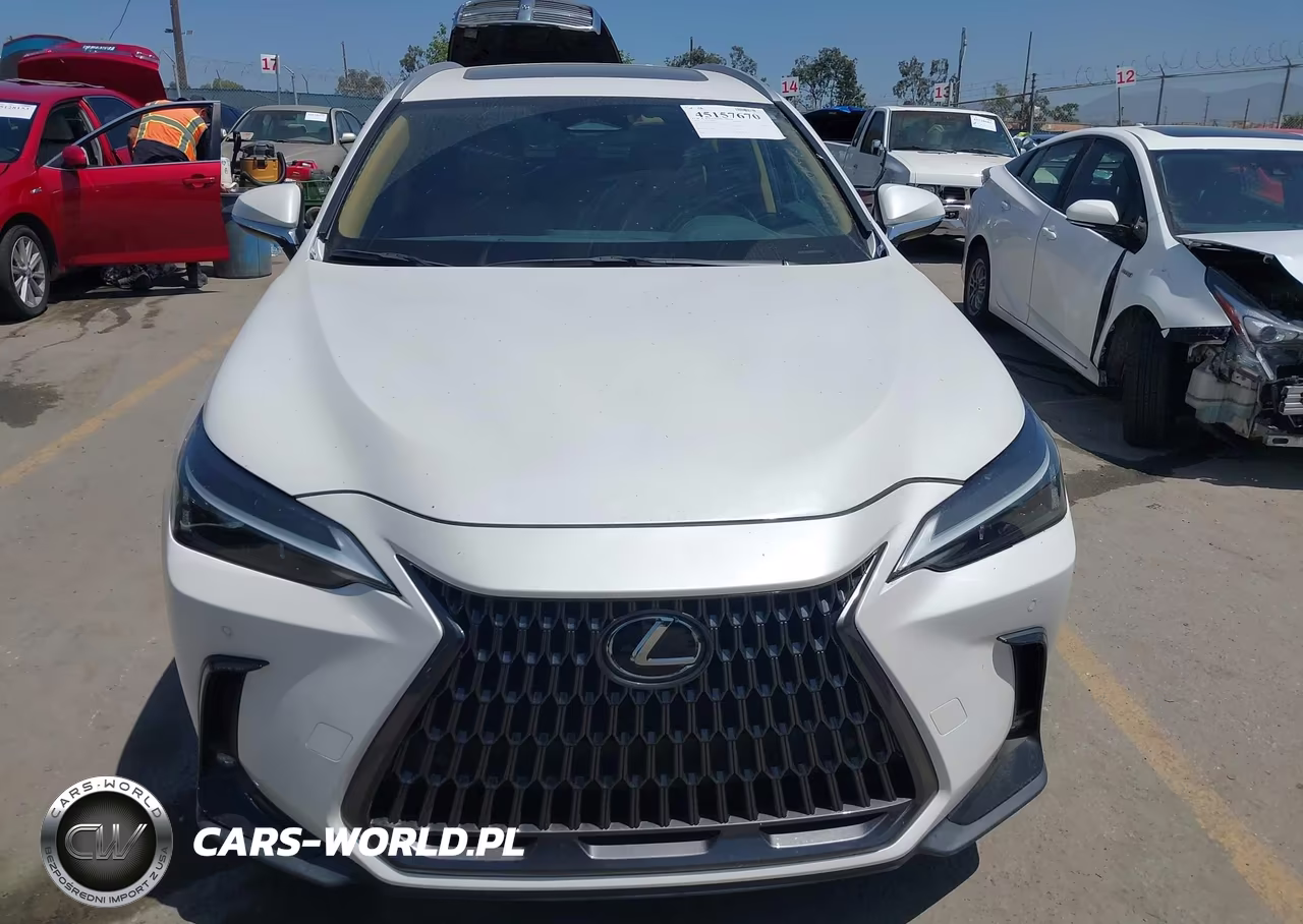 2024 Lexus Nx 250 Premium VIN:2T2GDCAZ4RC012524 - 6