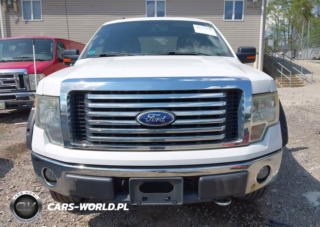 2010 Ford F-150 Fx4-Lariat-Xl-Xlt VIN:1FTFX1EV1AFD23780 - 12