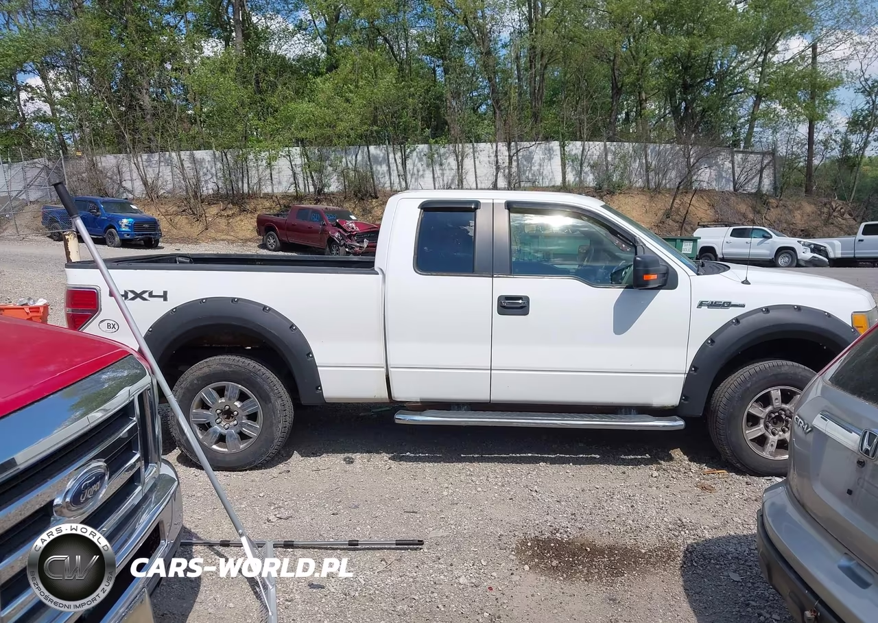 2010 Ford F-150 Fx4-Lariat-Xl-Xlt VIN:1FTFX1EV1AFD23780 - 13