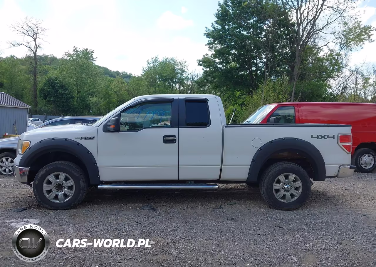 2010 Ford F-150 Fx4-Lariat-Xl-Xlt VIN:1FTFX1EV1AFD23780 - 14