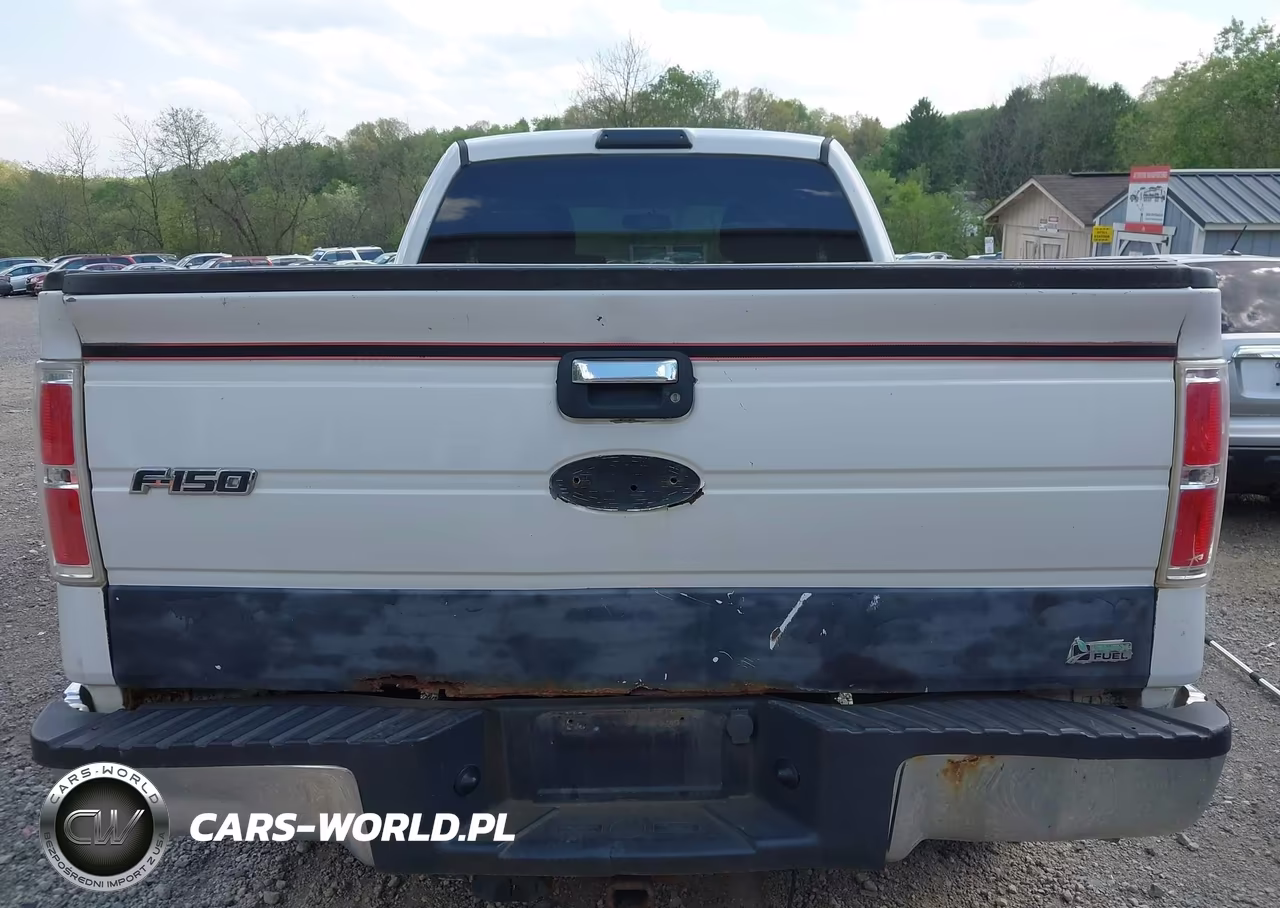 2010 Ford F-150 Fx4-Lariat-Xl-Xlt VIN:1FTFX1EV1AFD23780 - 16