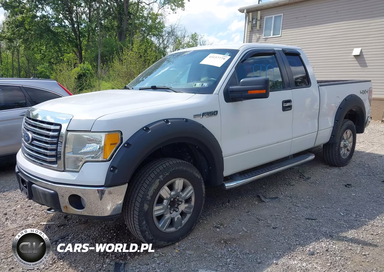 2010 Ford F-150 Fx4-Lariat-Xl-Xlt VIN:1FTFX1EV1AFD23780 - 2
