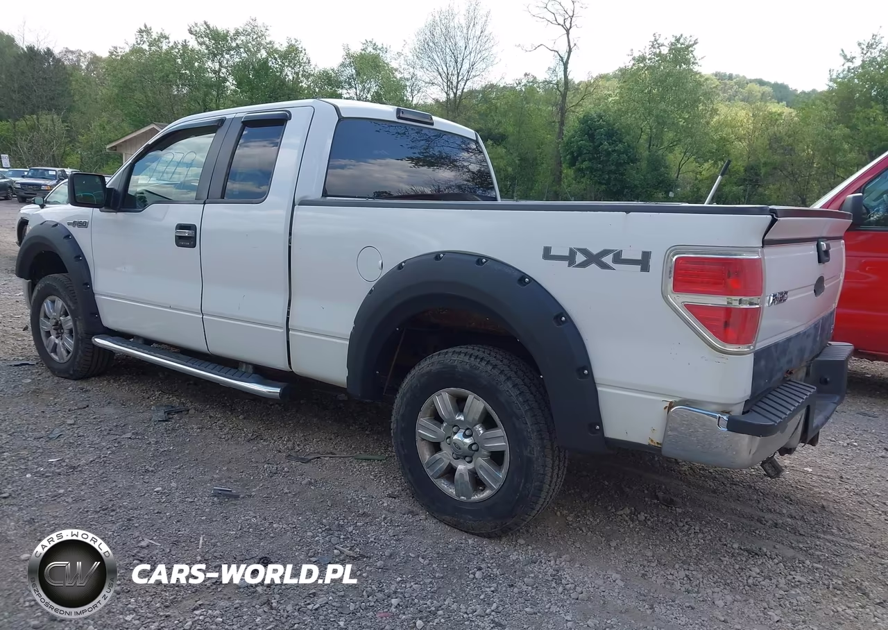 2010 Ford F-150 Fx4-Lariat-Xl-Xlt VIN:1FTFX1EV1AFD23780 - 3