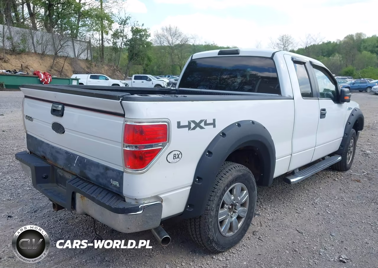 2010 Ford F-150 Fx4-Lariat-Xl-Xlt VIN:1FTFX1EV1AFD23780 - 4