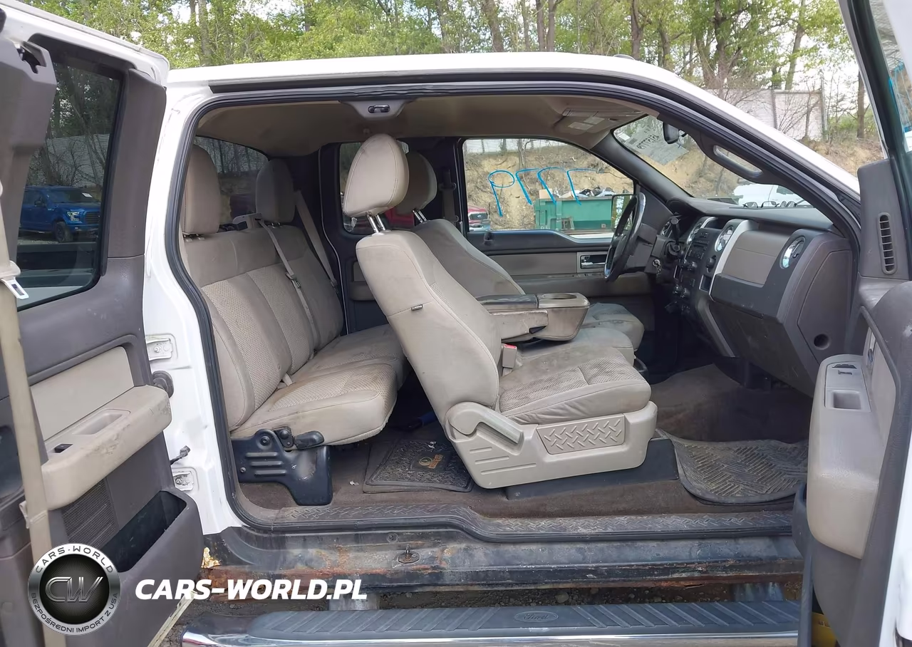 2010 Ford F-150 Fx4-Lariat-Xl-Xlt VIN:1FTFX1EV1AFD23780 - 8