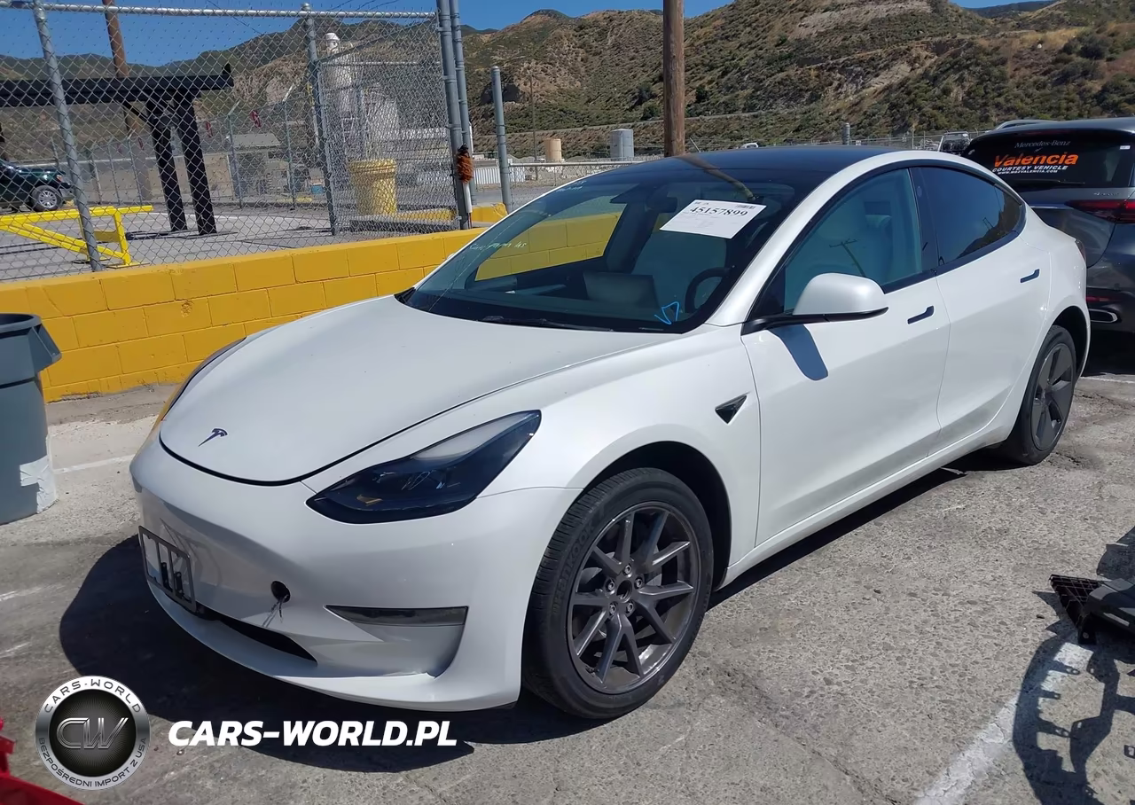 2023 Tesla Model 3 Rear-Wheel Drive VIN:5YJ3E1EA7PF493435 - 2