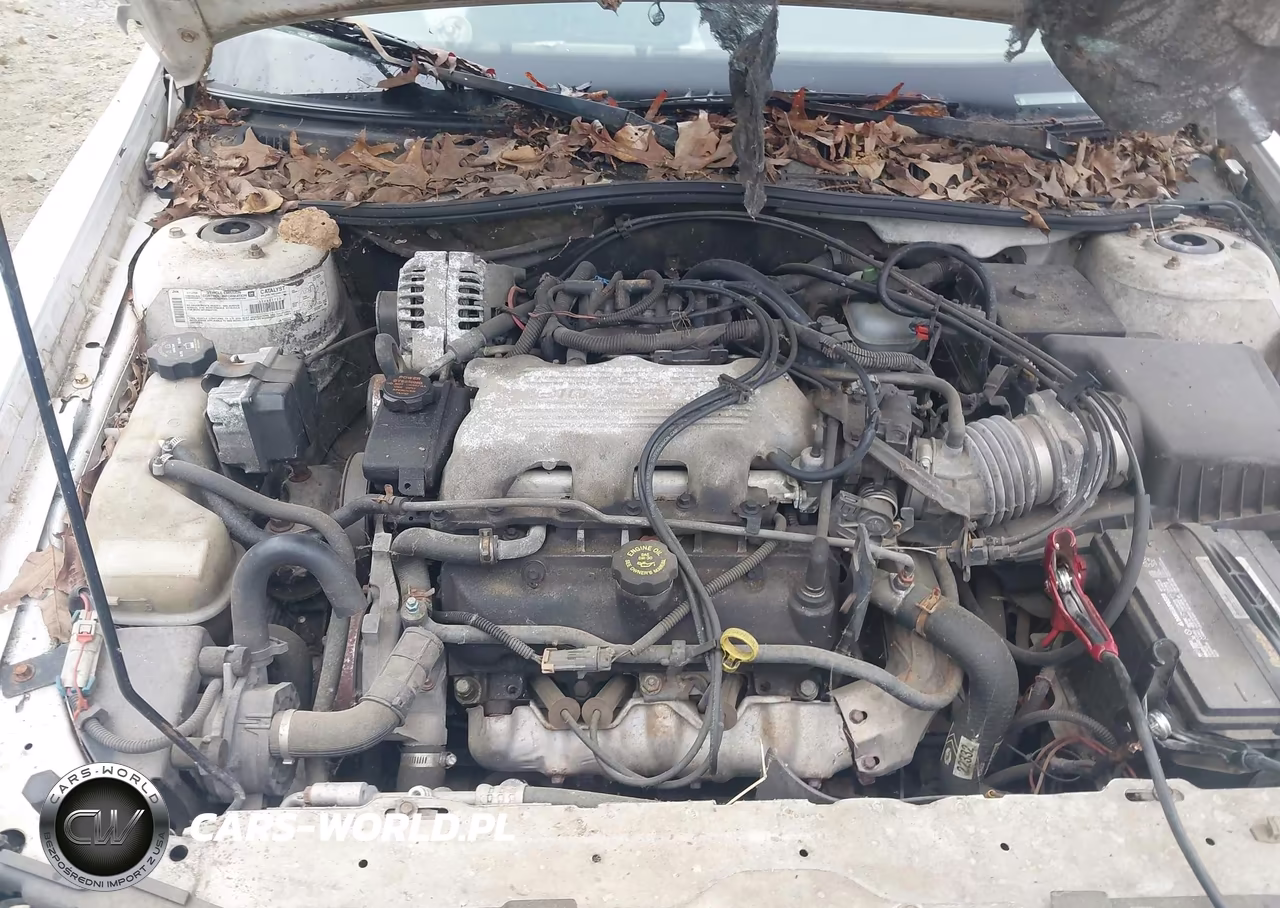 2000 Chevrolet Malibu Ls VIN:1G1NE52J0Y6166109 - 10