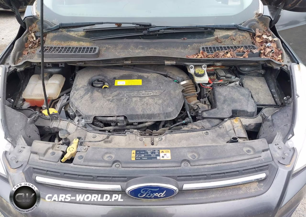 2016 Ford Escape Se VIN:1FMCU0GXXGUB97858 - 10