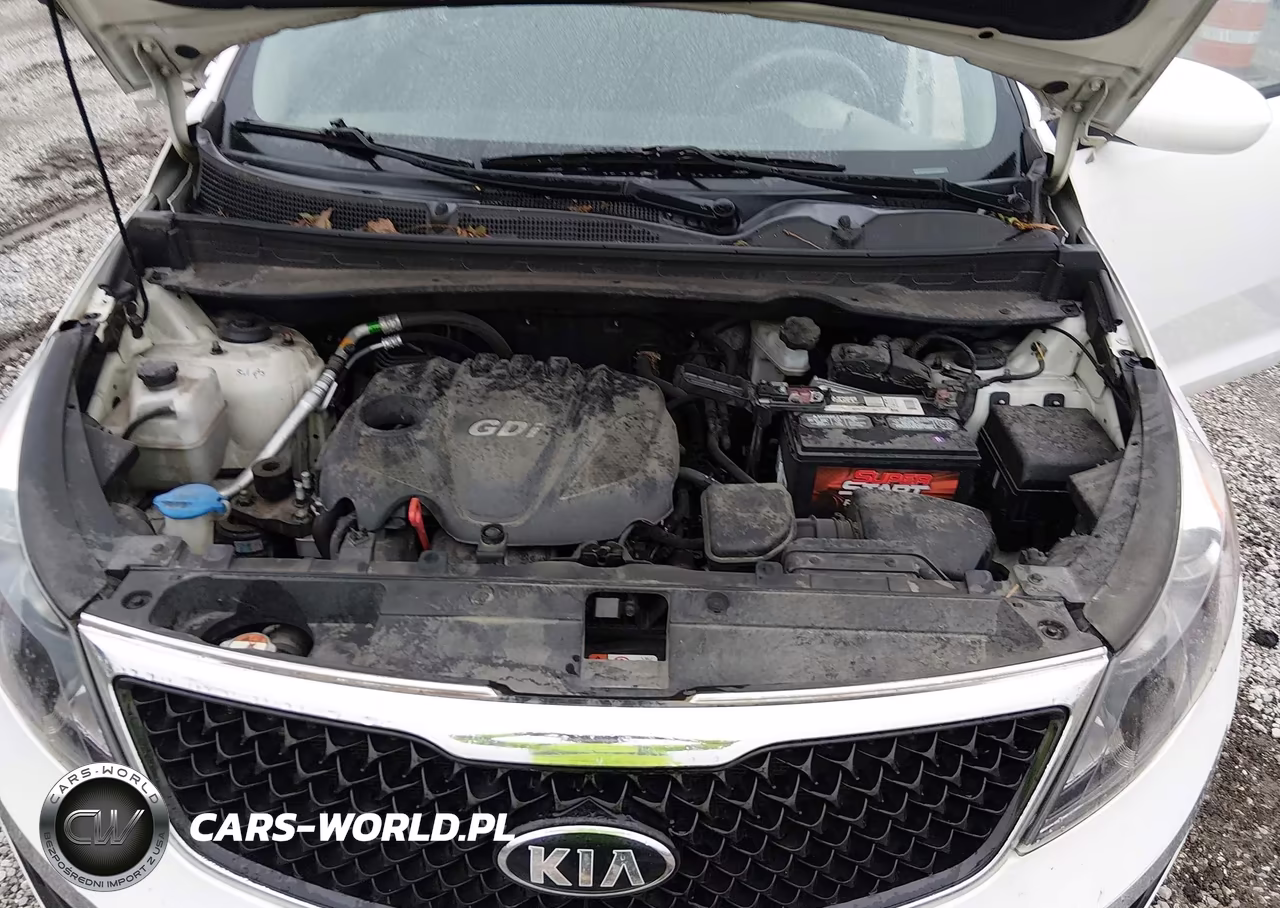2016 Kia Sportage Lx VIN:KNDPB3AC4G7830064 - 10