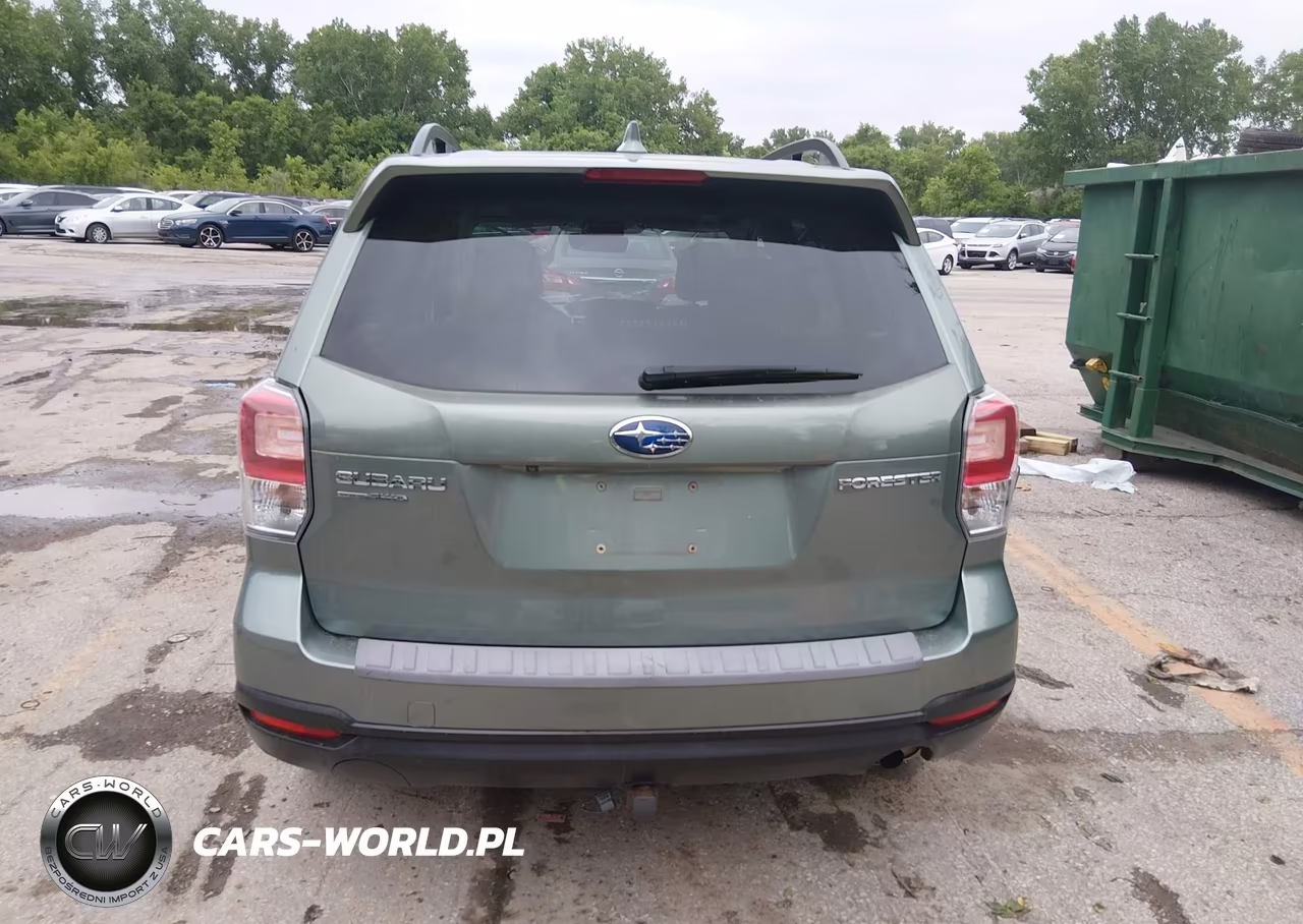 2018 Subaru Forester 2.5I Premium VIN:JF2SJAEC8JH406868 - 16
