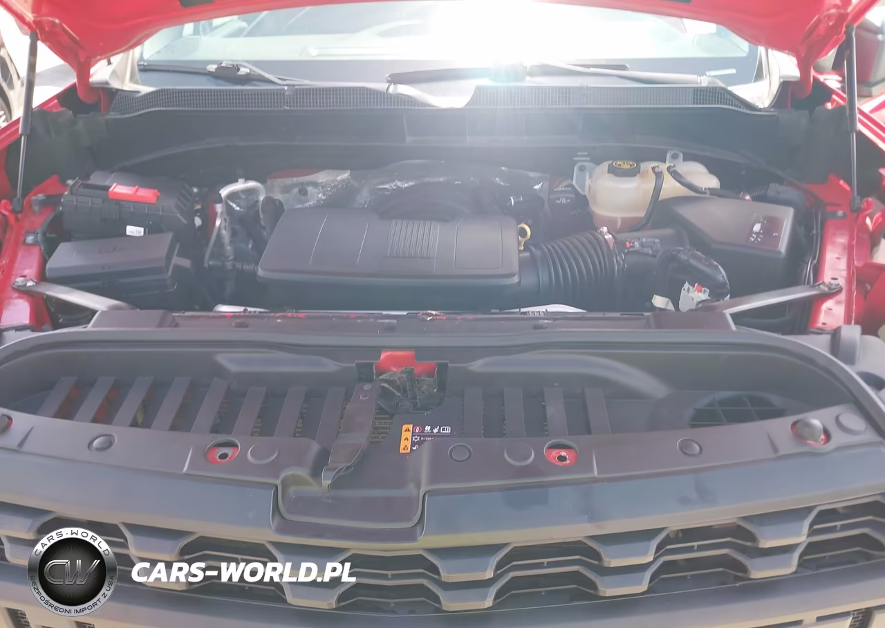 2019 CHEVROLET SILVERADO K1500 VIN:3GCNYAEH7KG310874 - 10