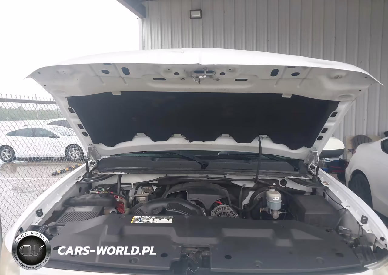 2011 Chevrolet Silverado 1500 Lt VIN:1GCRCSE00BZ188343 - 10