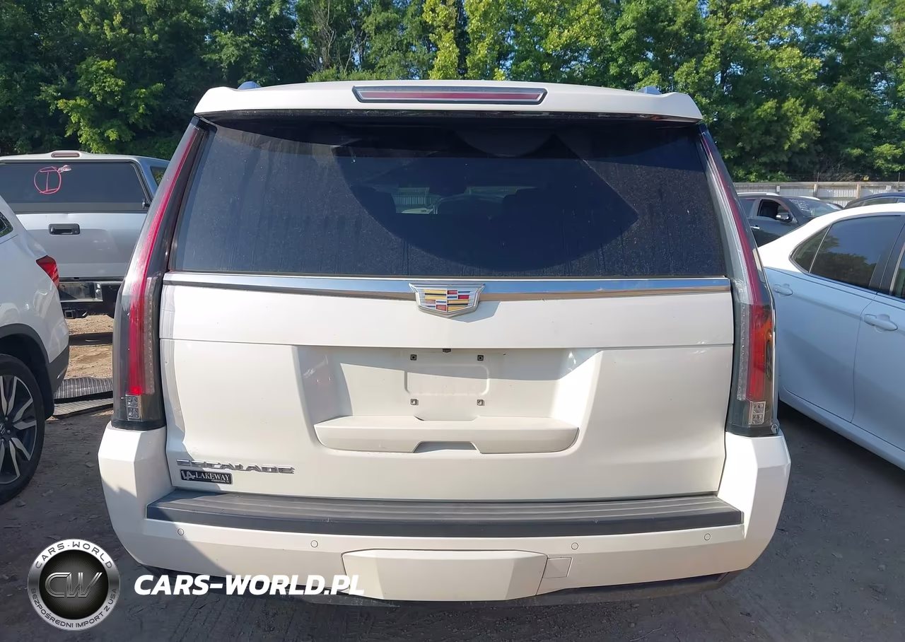 2015 Cadillac Escalade Esv Premium VIN:1GYS4TKJ6FR732748 - 16