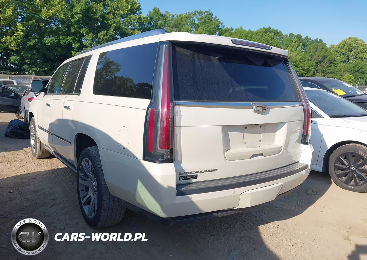 2015 Cadillac Escalade Esv Premium VIN:1GYS4TKJ6FR732748 - 3