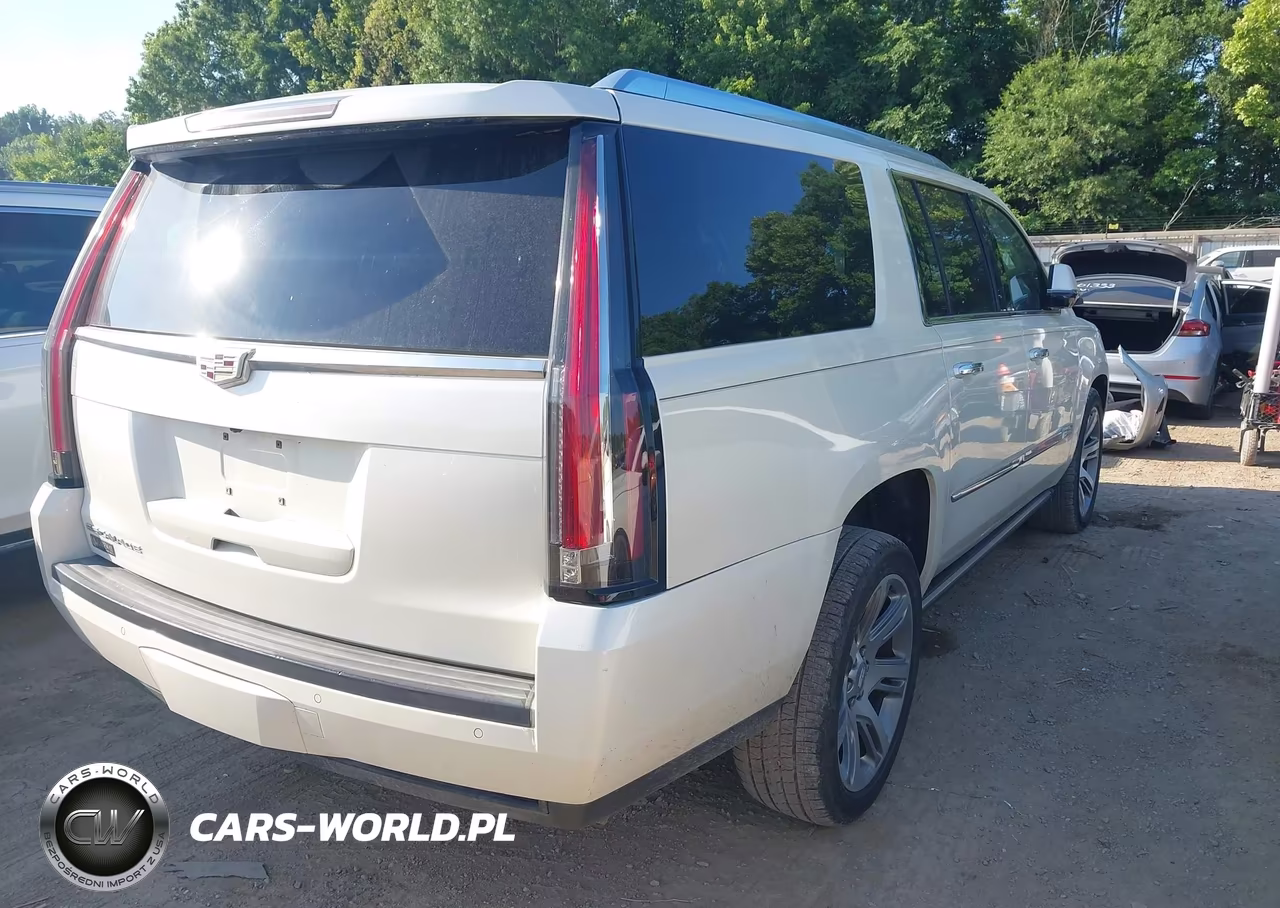 2015 Cadillac Escalade Esv Premium VIN:1GYS4TKJ6FR732748 - 4