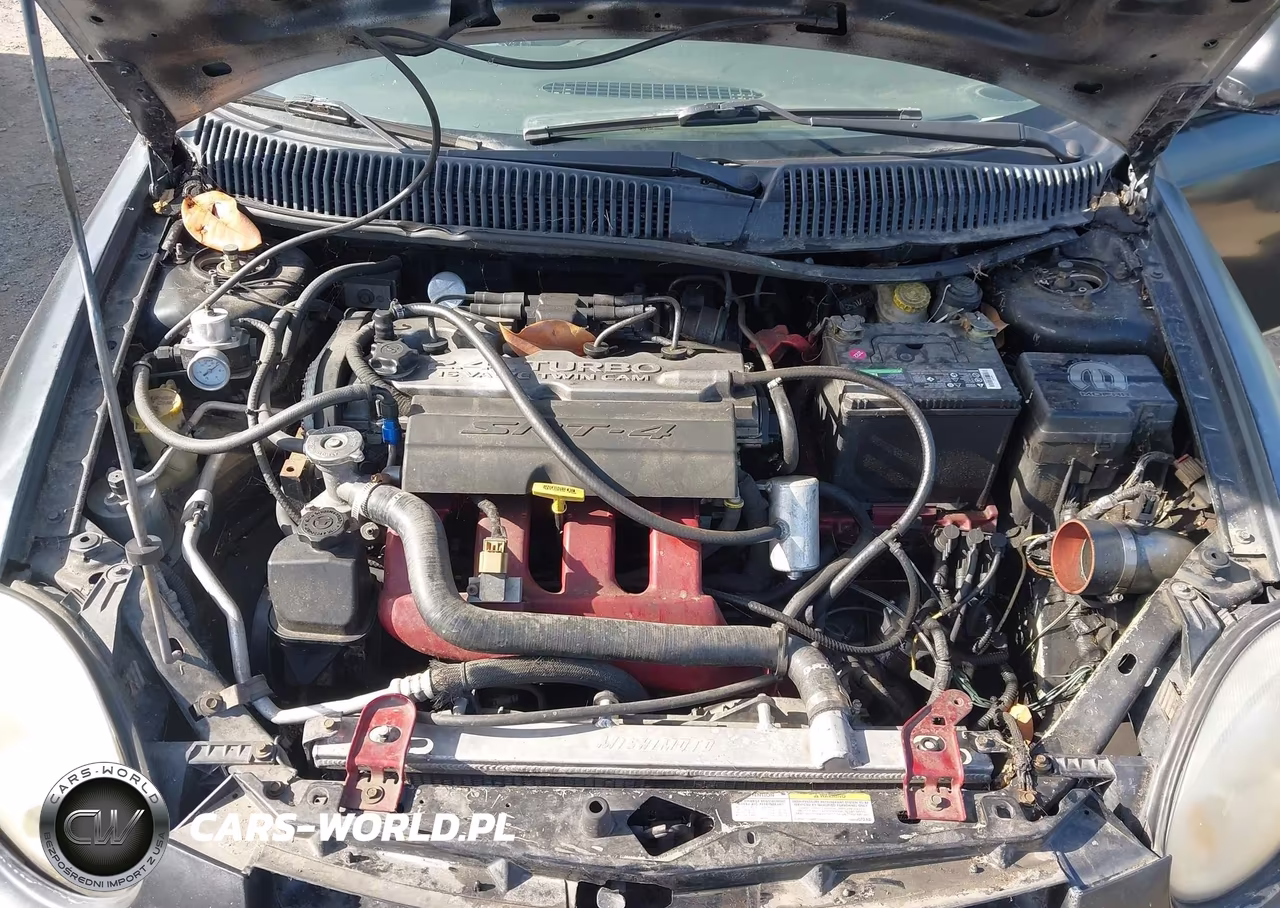 2005 Dodge Srt4 VIN:1B3ES66S55D193212 - 10