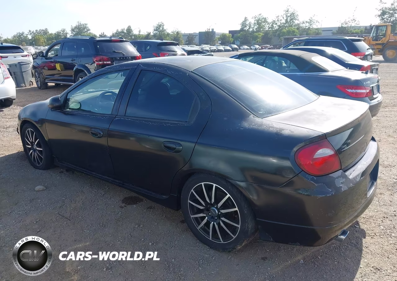 2005 Dodge Srt4 VIN:1B3ES66S55D193212 - 3