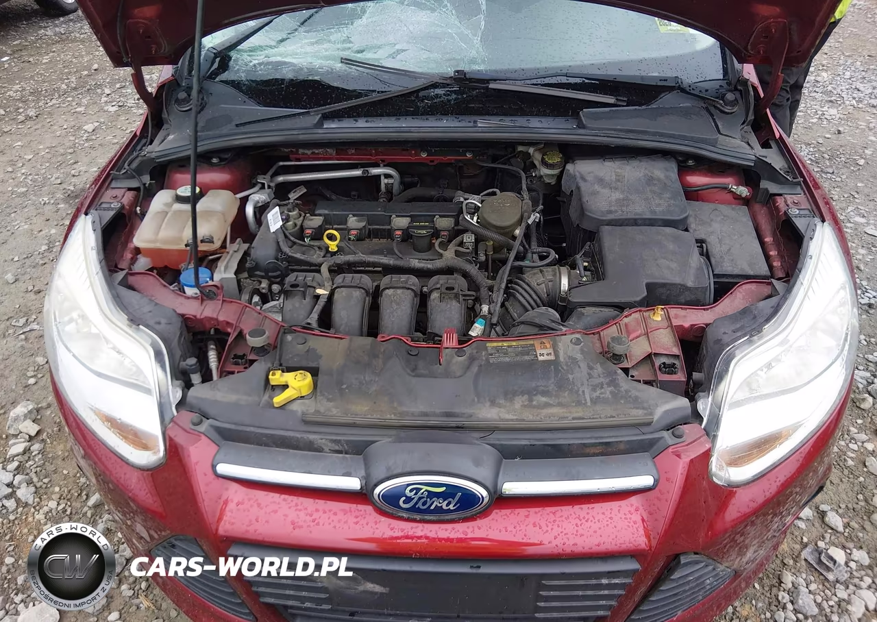 2013 Ford Focus Se VIN:1FADP3F22DL361165 - 10