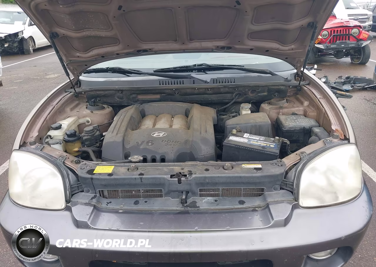 2006 Hyundai Santa Fe Gls VIN:KM8SC13D26U070584 - 10