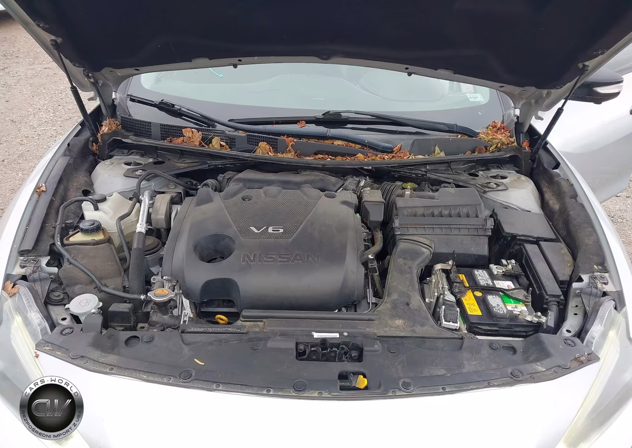 2016 Nissan Maxima 3.5 Platinum VIN:1N4AA6AP7GC386592 - 10