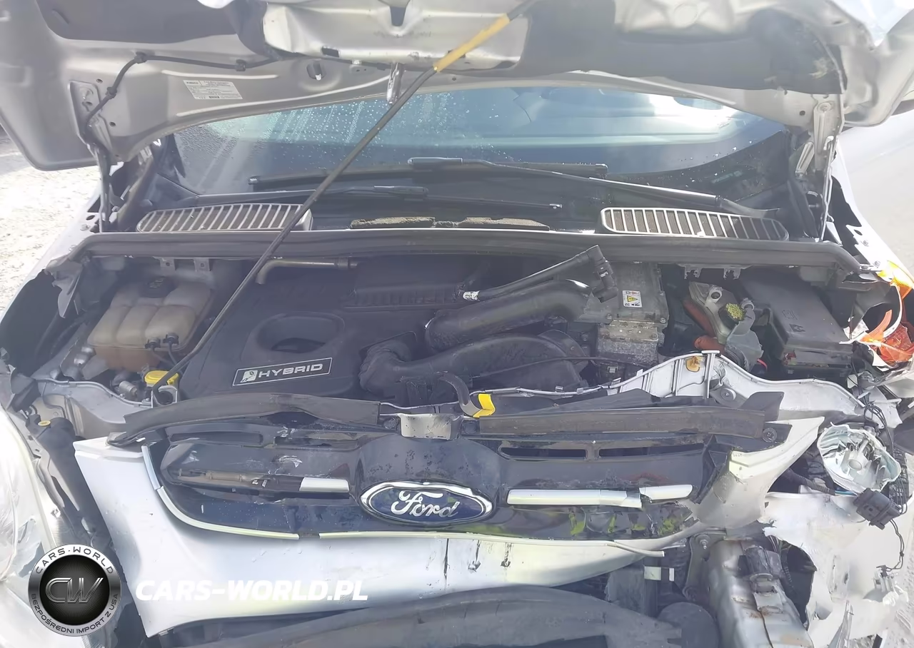 2014 Ford C-Max Hybrid Se VIN:1FADP5AU7EL520719 - 10