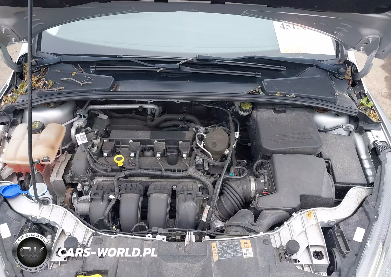 2015 Ford Focus Se VIN:1FADP3F23FL247579 - 10