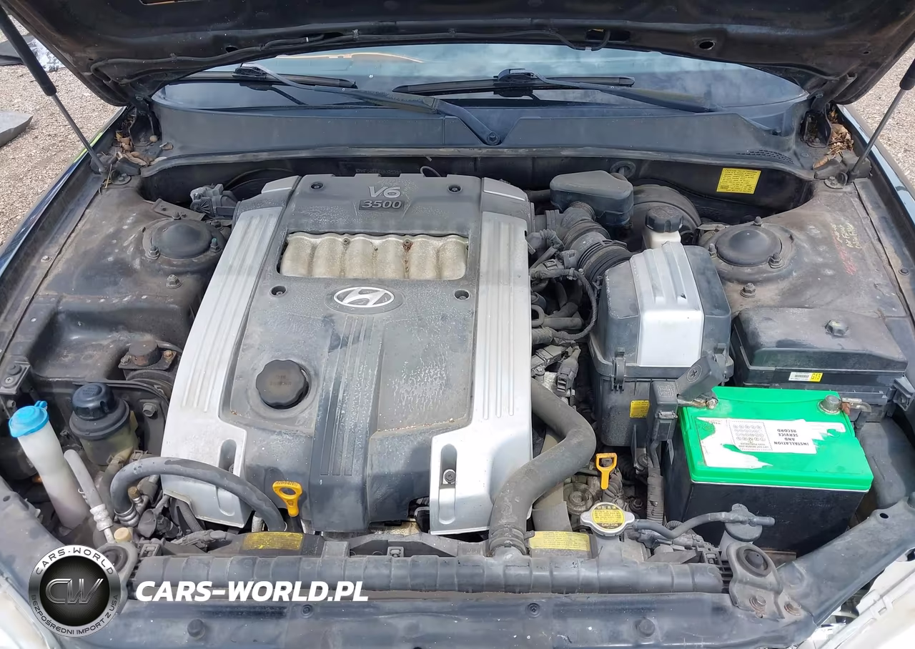 2004 Hyundai Xg350 L VIN:KMHFU45E84A325789 - 10