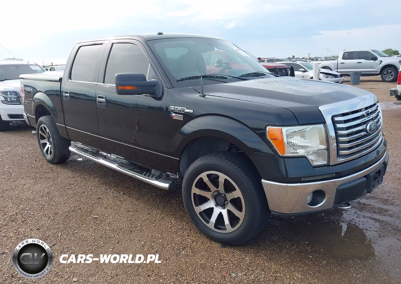 2010 Ford F-150 Xl-Xlt