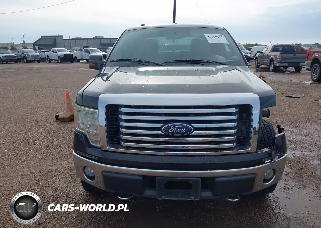 2010 Ford F-150 Xl-Xlt VIN:1FTEW1E80AFC49678 - 13