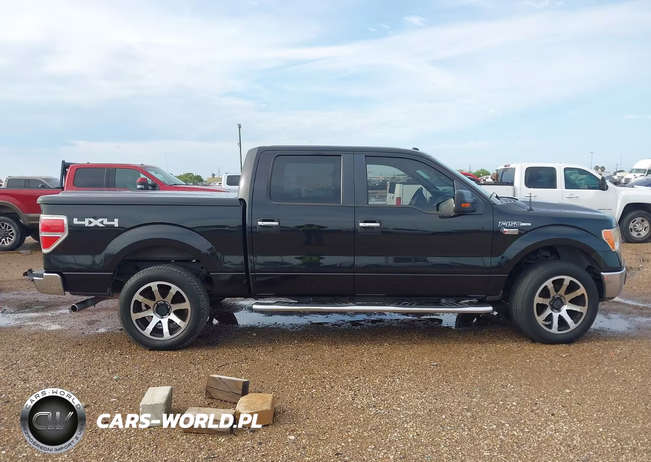 2010 Ford F-150 Xl-Xlt VIN:1FTEW1E80AFC49678 - 14
