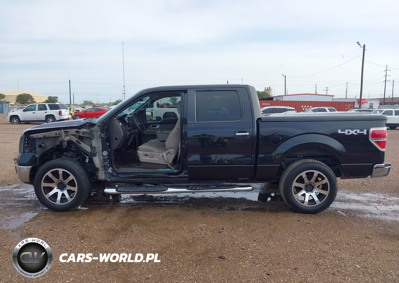 2010 Ford F-150 Xl-Xlt VIN:1FTEW1E80AFC49678 - 15