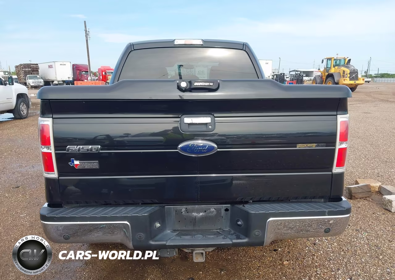 2010 Ford F-150 Xl-Xlt VIN:1FTEW1E80AFC49678 - 17