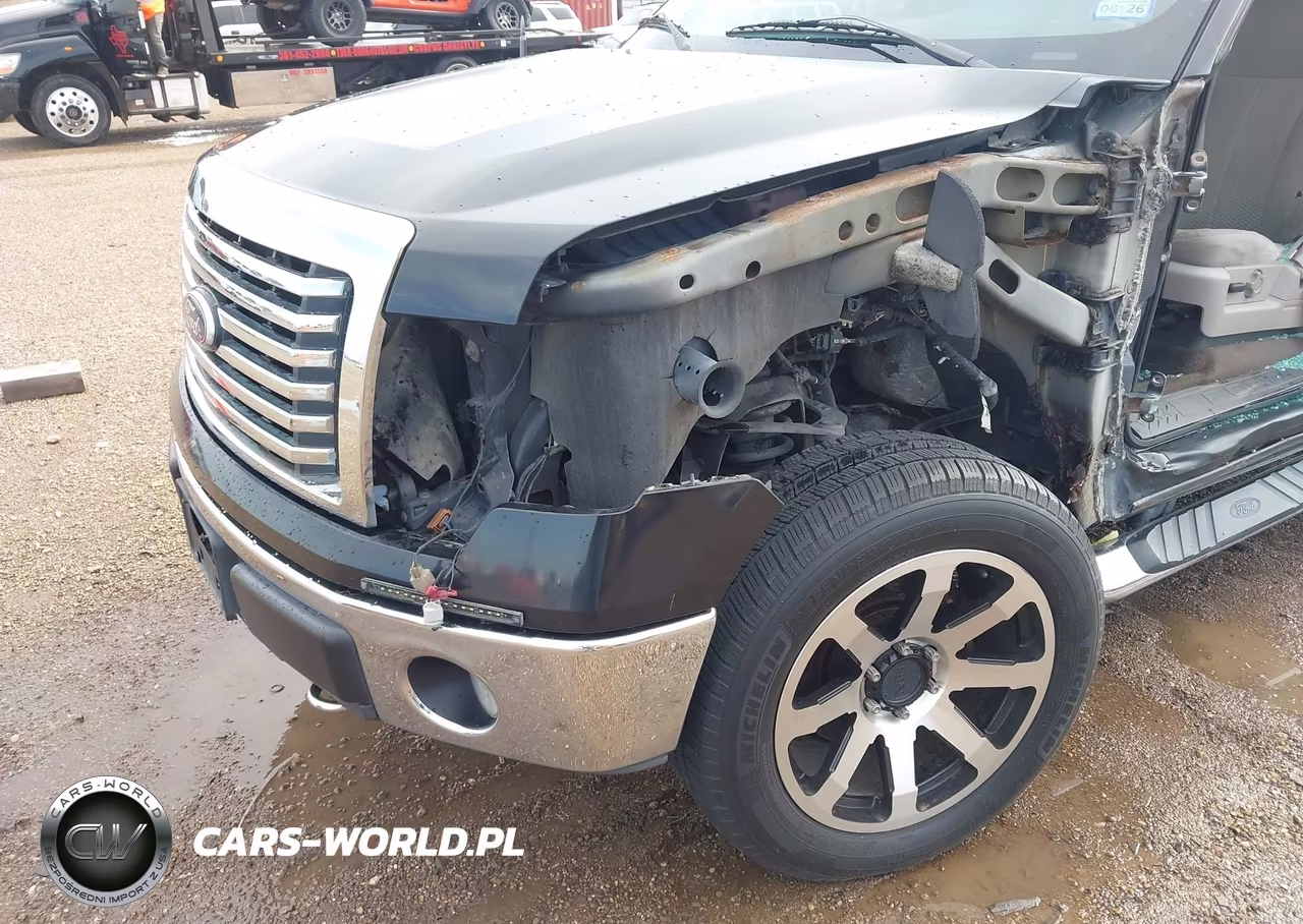 2010 Ford F-150 Xl-Xlt VIN:1FTEW1E80AFC49678 - 18