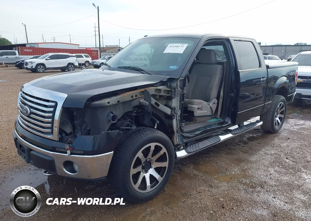 2010 Ford F-150 Xl-Xlt VIN:1FTEW1E80AFC49678 - 2